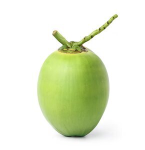 Coconut (Large Size)