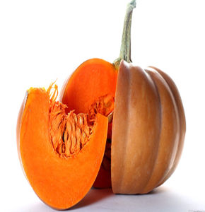 Misty Kumra (Sweet Pumpkin)