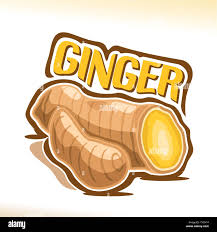 Ginger